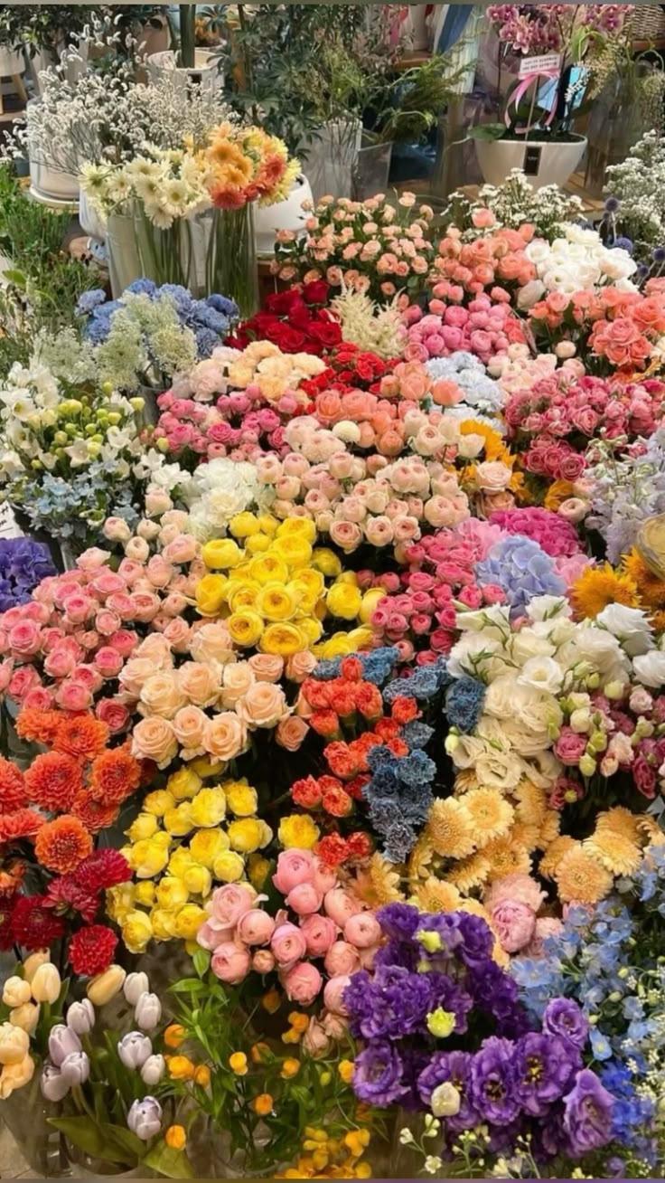 Morning Dew Elegance Petal Medley